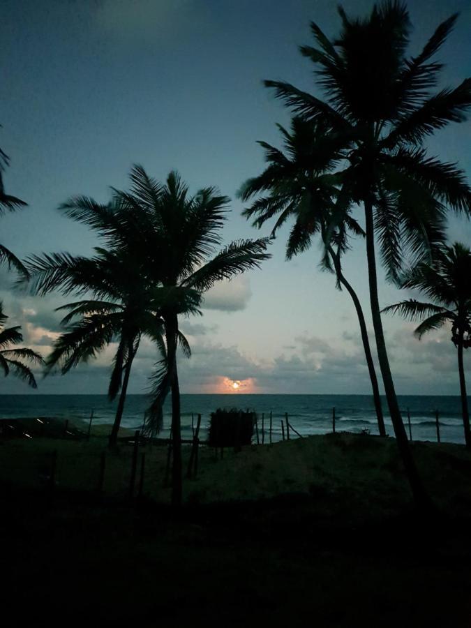 Rosagash Paradise - Praia De Santo Antonio Mata de São João Eksteriør billede