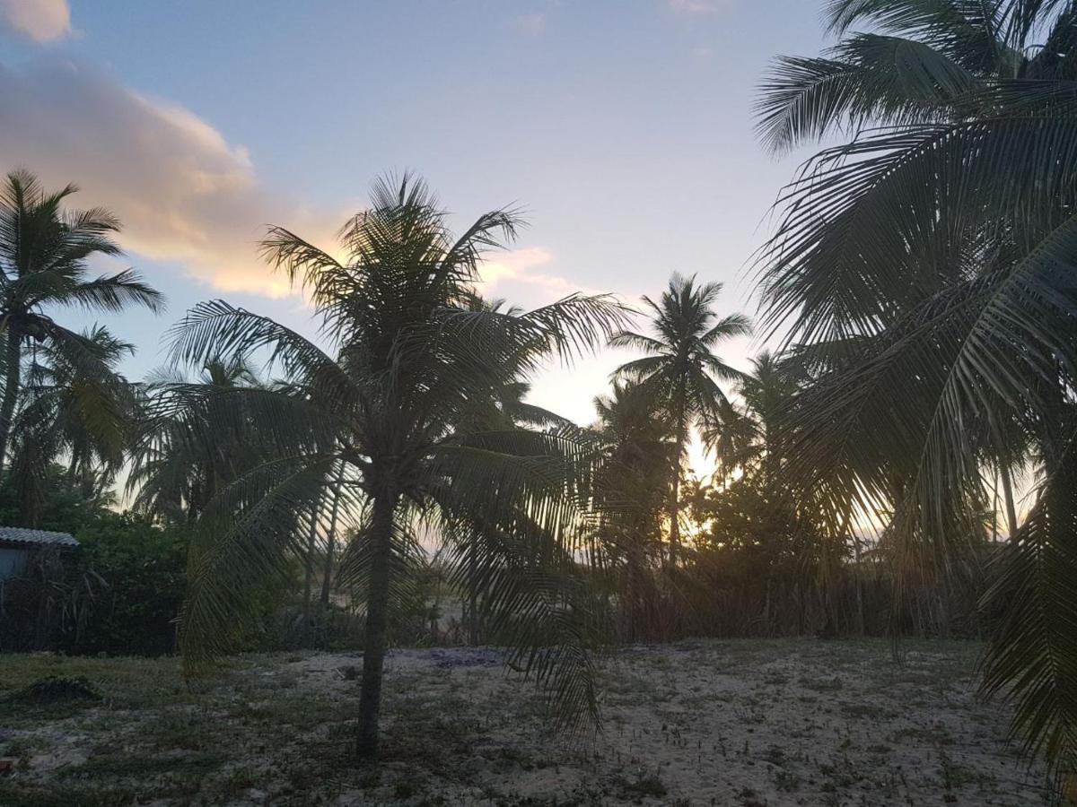 Rosagash Paradise - Praia De Santo Antonio Mata de São João Eksteriør billede