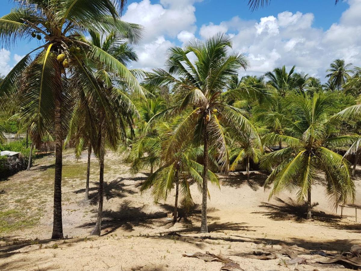 Rosagash Paradise - Praia De Santo Antonio Mata de São João Eksteriør billede